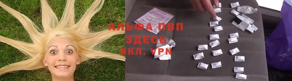 ALPHA PVP Козельск