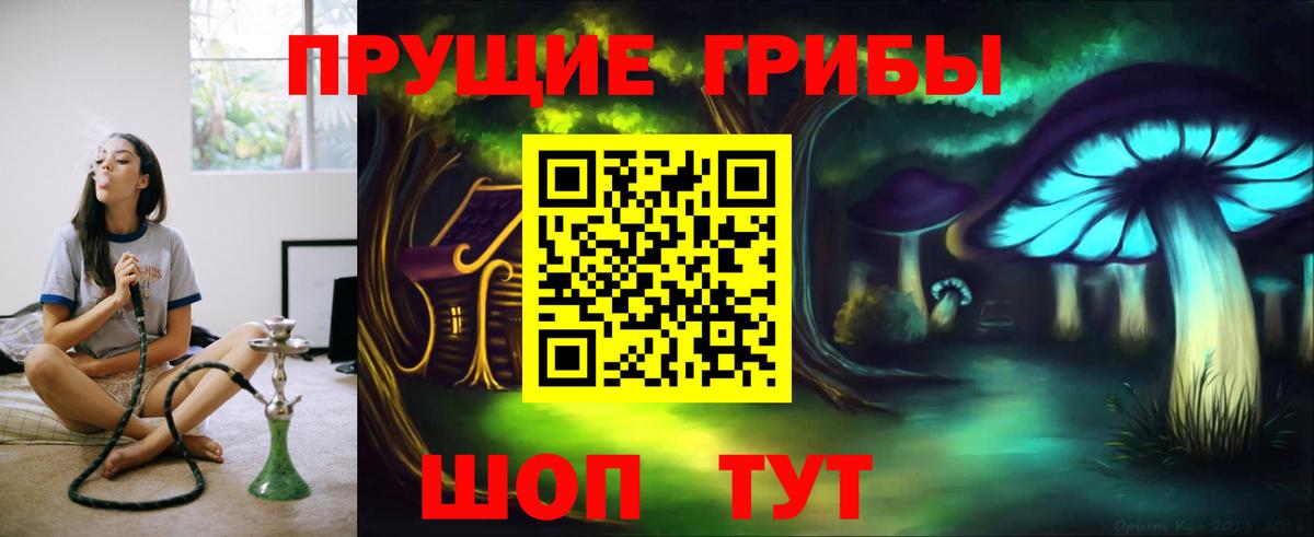 Галлюциногенные грибы прущие грибы Кувандык